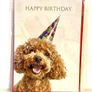 Dog Birthday Card Image 2