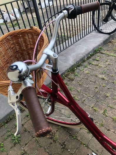 Releigh Willow Women's Bike