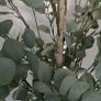 artificial tree Image 3