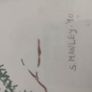 Title: Heather Medium: Watercolor Artist: Susan Manley Nov. 1990. Image 4