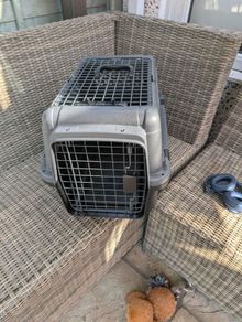 pet carrier
