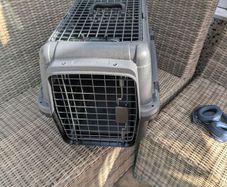 pet carrier