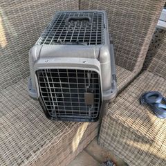 pet carrier