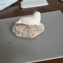 Seal ornament Image 4