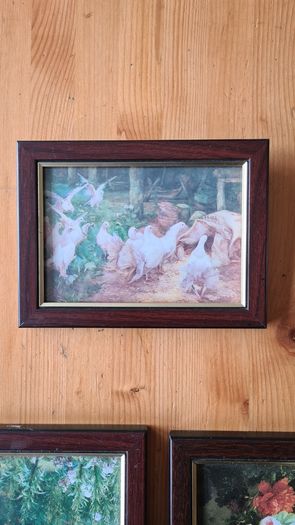 3 X Framed Picture.