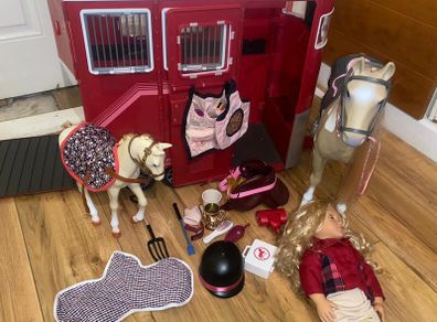 Our generation dolls vet set school set horse box set