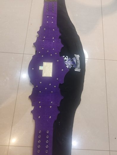 The Undertaker 30 Years Signature Series Championship Title.