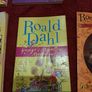 Books bundle Dennis the Menace Captain Underpants Roald Dhal Image 8