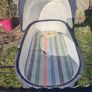 Pram , Gesslein Kinderwagen Image 5