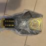 WWE Undisputed Title Adult Size Image 3