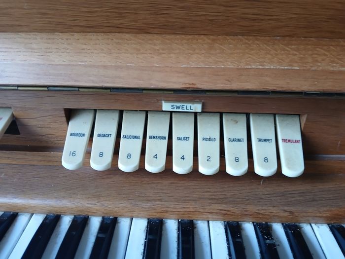 Electric Organ