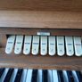 Electric Organ Image 2