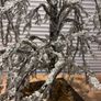 Tabletop Artificial Frostbite Christmas Tree in Wooden Planter. Image 9