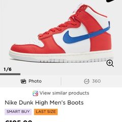 Nike men's Dunk high tops