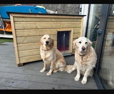 dog house