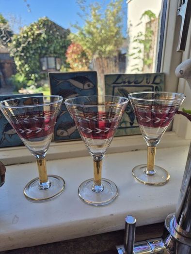 Beautiful Vintage Coupe Glasses