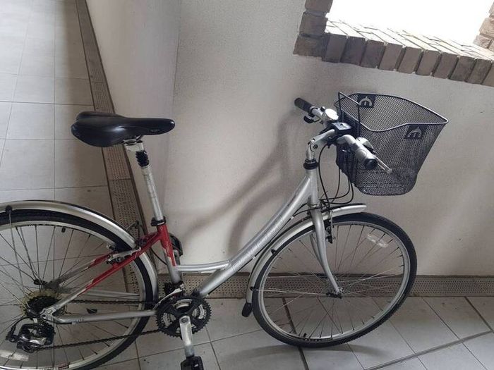 ladies Raleigh city bike ( can deliver)