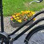 Ladies City Bike In Excellent Condition. No Offers Image 4
