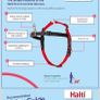 medium dog harness Image 6