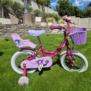 kids bike Raleigh