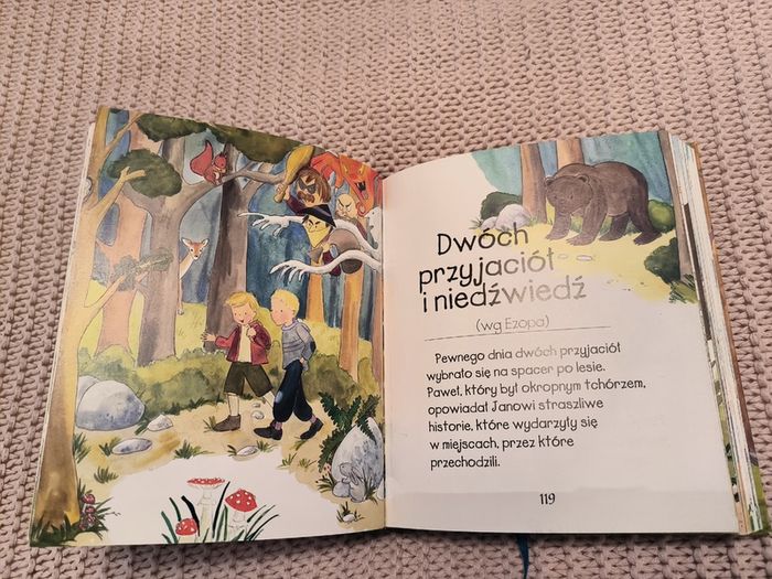 Book in polish Bajki dla chlopcow