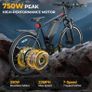 Massive Clearance Sale On Electric Bikes Image 4