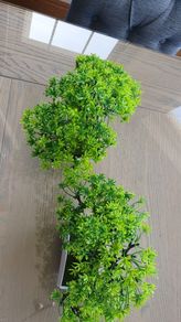 Faux bonsai trees