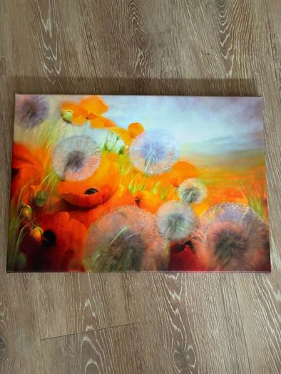 Canvas picture