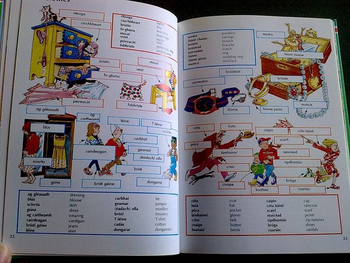 Beginner's Irish Dictionary Gaeilge Irish language Ireland