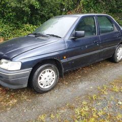 ford orion