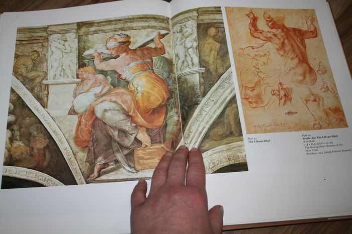 Michelangelo and His Art