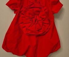 Leigh Tucker red dress 9/12 months