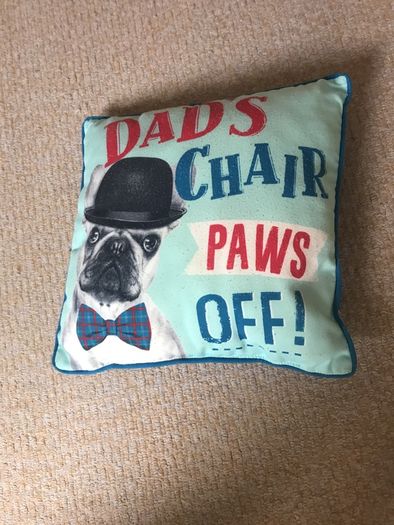 Dad's Chair Paws Off Cushion