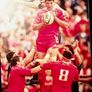 2011. Donncha O' Callaghan. Joking Apart. My Autobiography. Image 4
