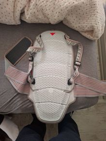 motorbike dainese back protector