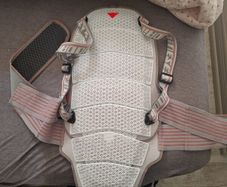 motorbike dainese back protector