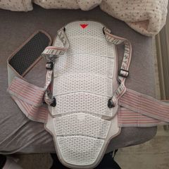 motorbike dainese back protector