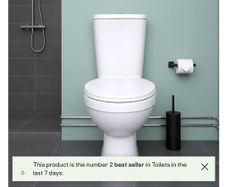 brand new toilets
