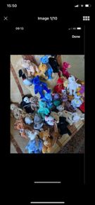 Vintage TY Beanies- Collectors Pieces