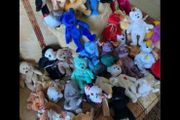 Vintage TY Beanies- Collectors Pieces
