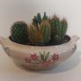 Lovely Arklow Pottery Tureen with Cacti Garden - A Fabulous Unique and Decorative Item for Display Indoors Image 7
