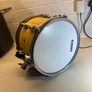 10" Pearl "Vision" birch tom for sale Image 6