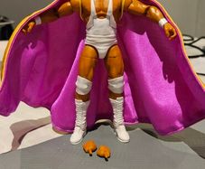 WWE wrestling figure Hulk Hogan