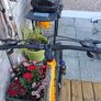 Carrera mountain bike Image 6