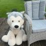 Giant Huskey Teddy Image 5