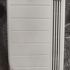 Dimplex PLX100E 1000W Slimline Electric Panel Heater