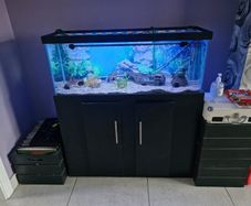 110L Fish Tank / Aquarium & Stand