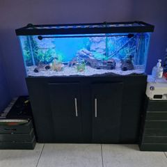 110L Fish Tank / Aquarium & Stand