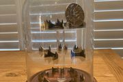 Rotating Glass Bell Jar Display Unit