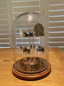 Rotating Glass Bell Jar Display Unit